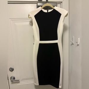 Calvin Klein Work Dress